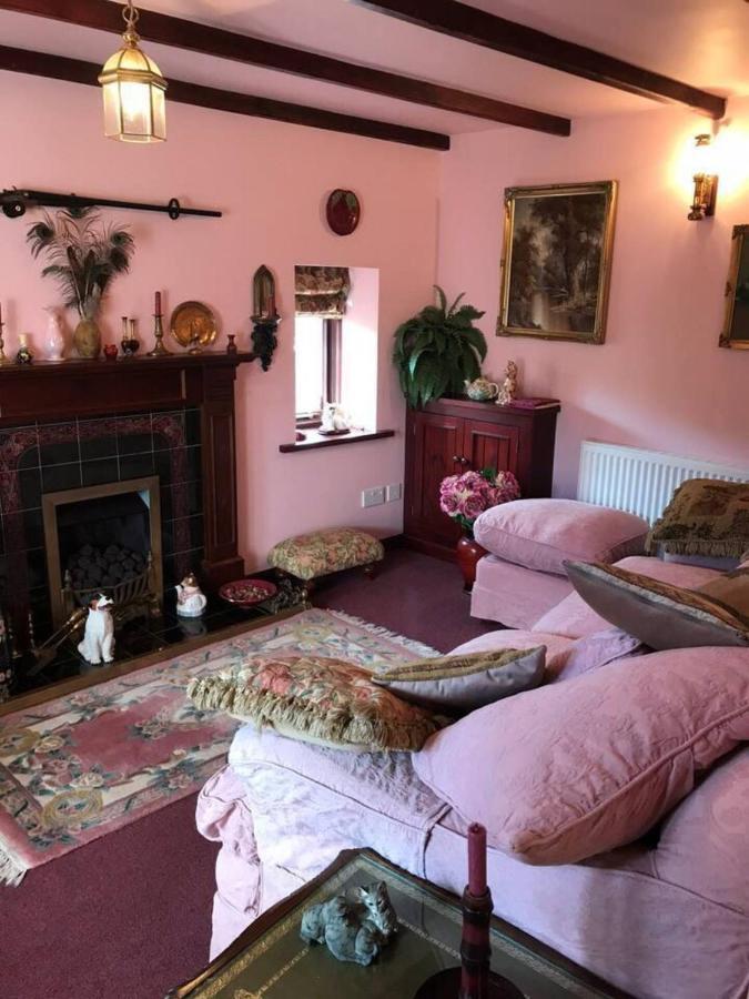 Cosy Cottage For Ecotourism Lovers Near Corwen Extérieur photo