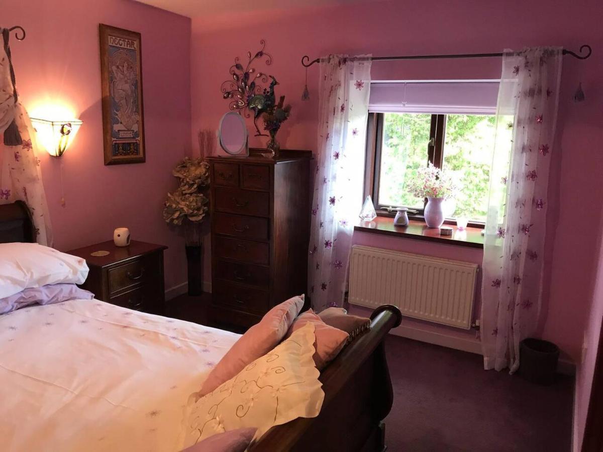 Cosy Cottage For Ecotourism Lovers Near Corwen Extérieur photo