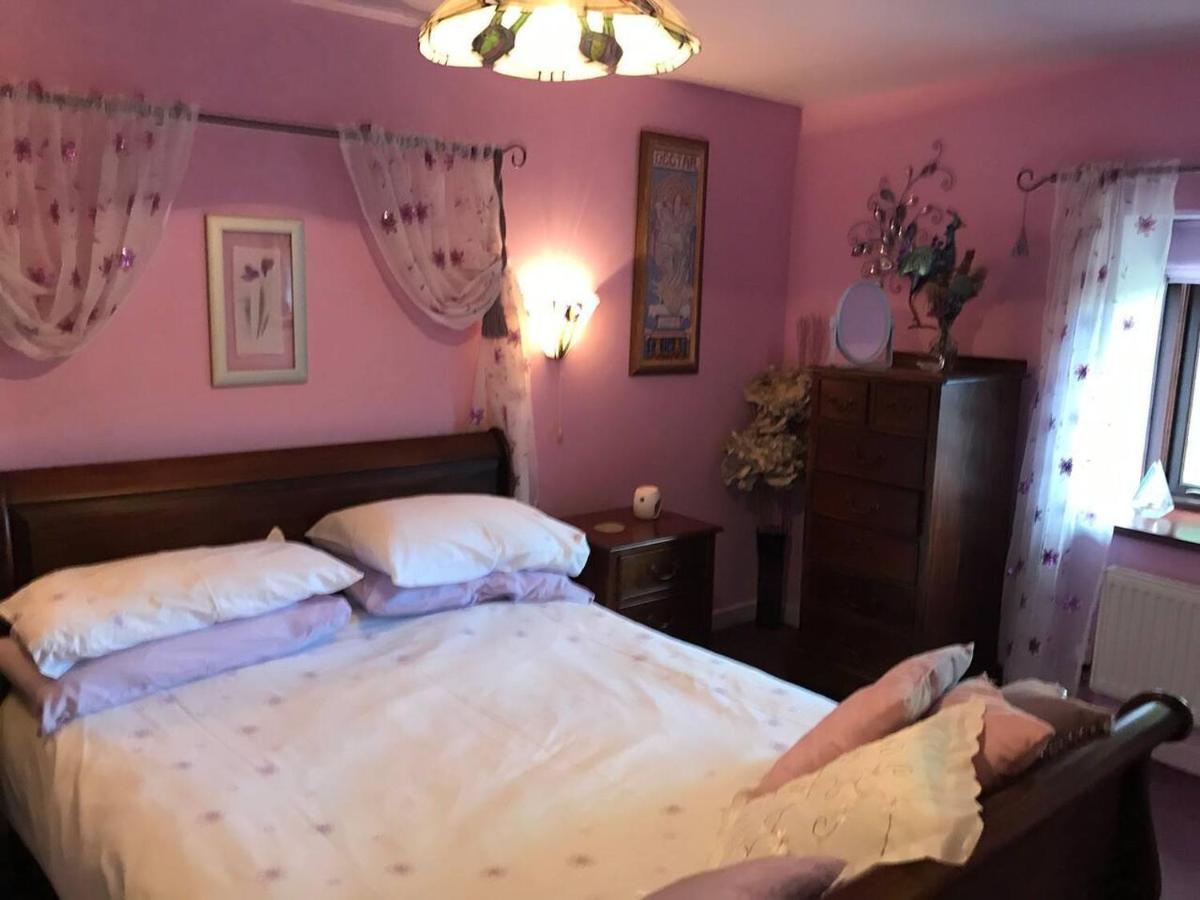 Cosy Cottage For Ecotourism Lovers Near Corwen Extérieur photo