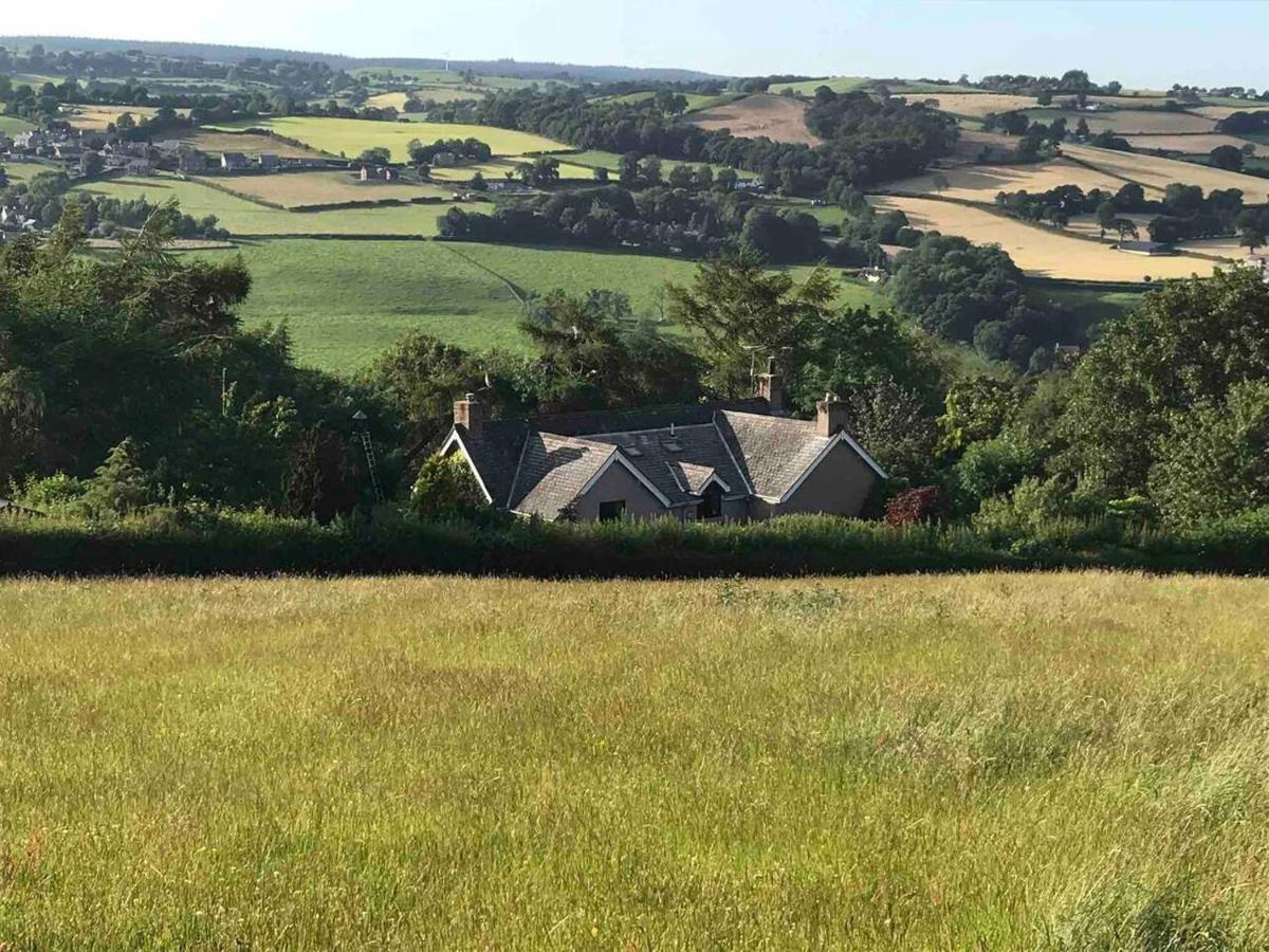 Cosy Cottage For Ecotourism Lovers Near Corwen Extérieur photo