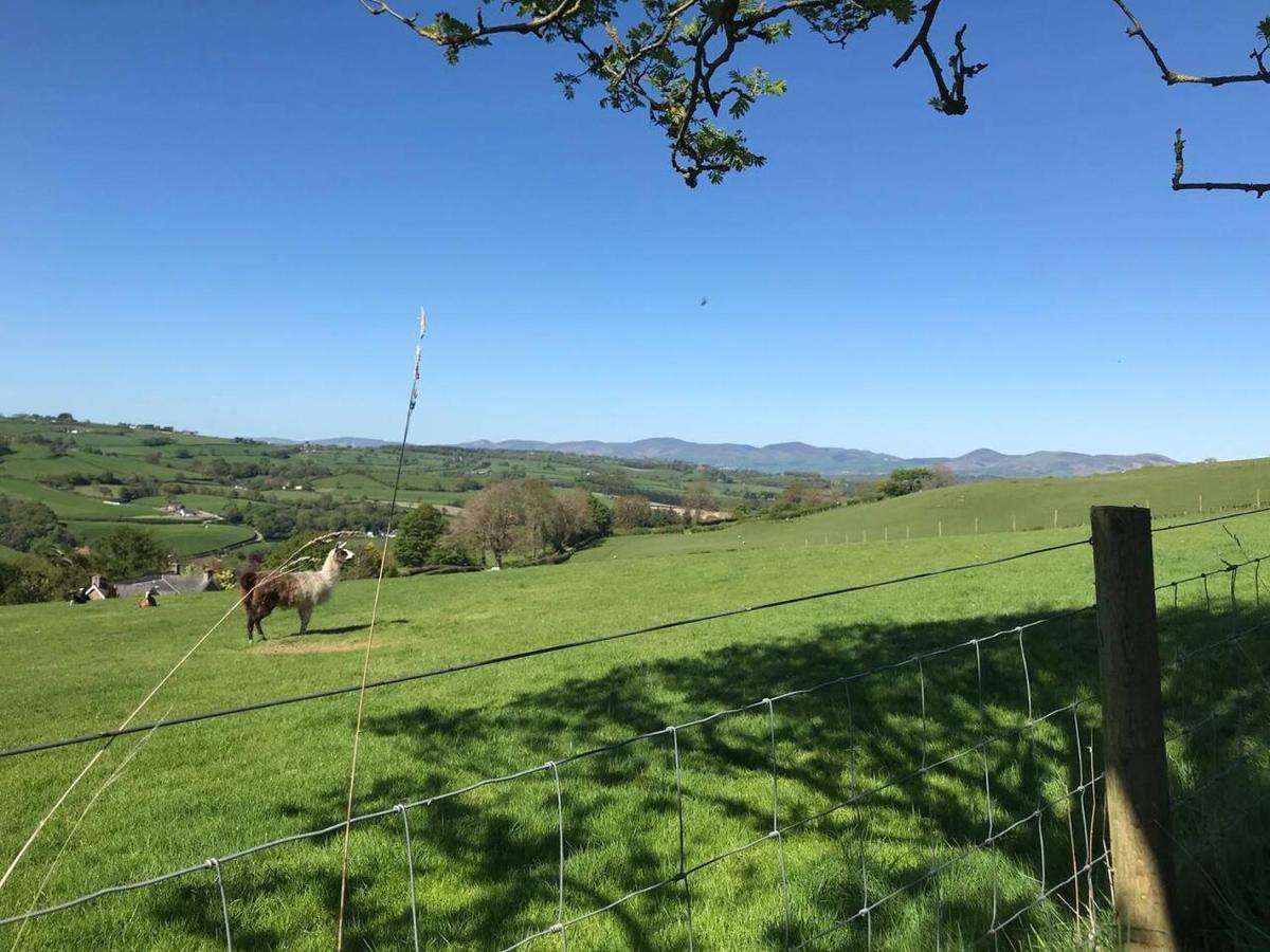 Cosy Cottage For Ecotourism Lovers Near Corwen Extérieur photo
