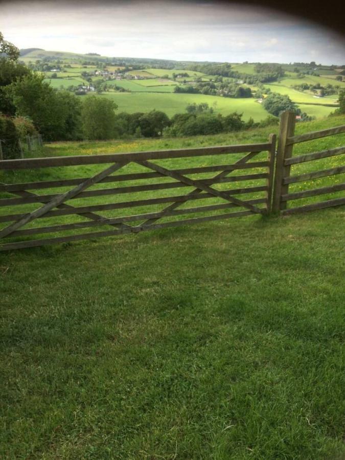 Cosy Cottage For Ecotourism Lovers Near Corwen Extérieur photo
