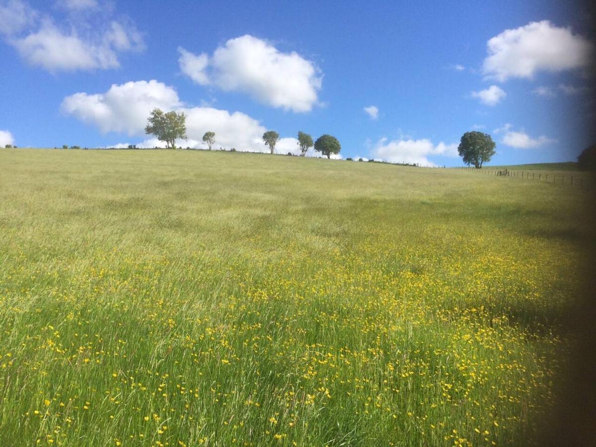 Cosy Cottage For Ecotourism Lovers Near Corwen Extérieur photo